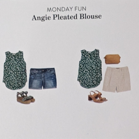 🌸 Monday Fun Angie Pleated Blouse Size S NWT STITCH FIX - Picture 3 of 10